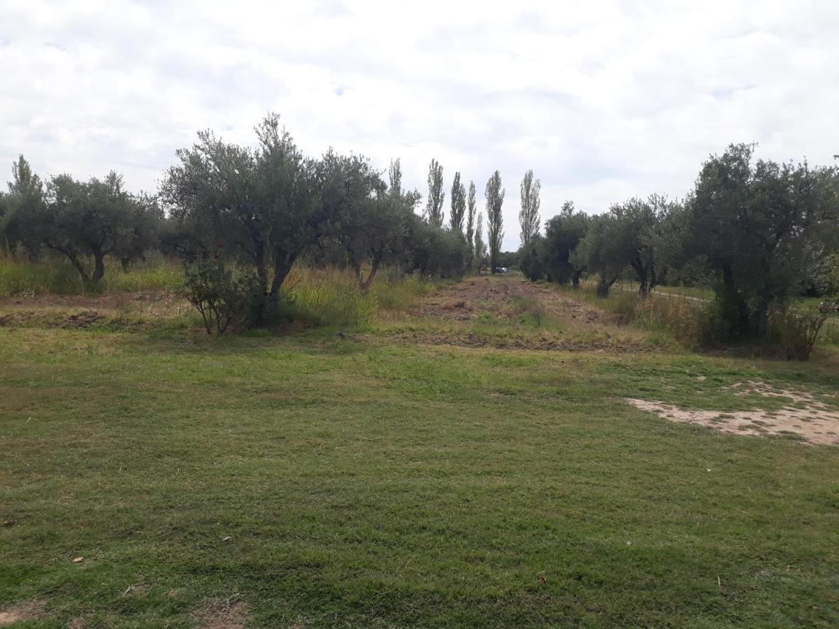 Casa De Campo Las Olivas San Rafael Dış mekan fotoğraf