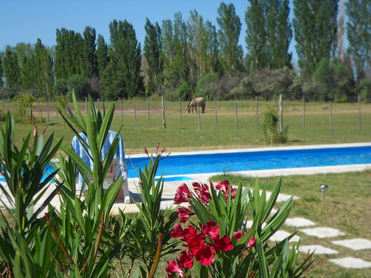 Casa De Campo Las Olivas San Rafael Dış mekan fotoğraf