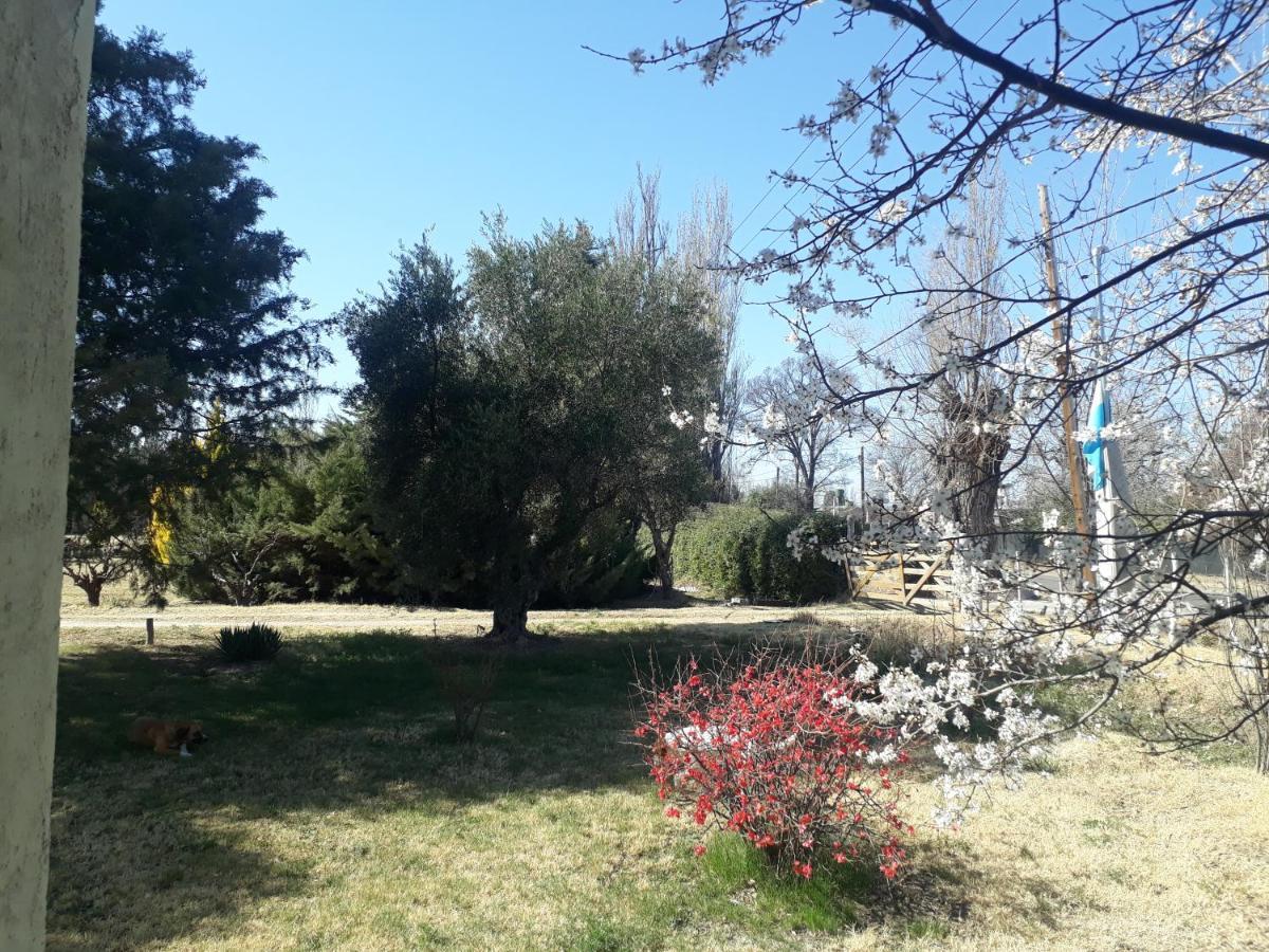Casa De Campo Las Olivas San Rafael Dış mekan fotoğraf