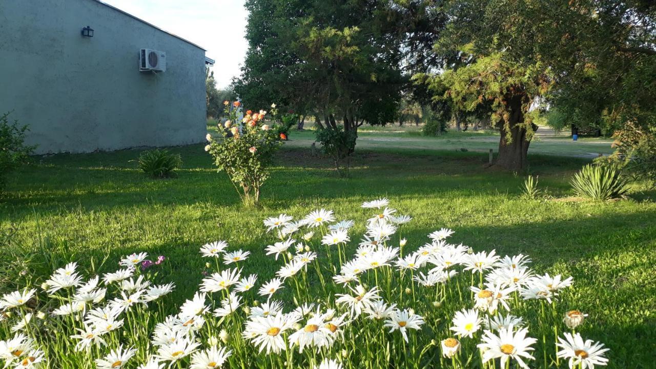 Casa De Campo Las Olivas San Rafael Dış mekan fotoğraf