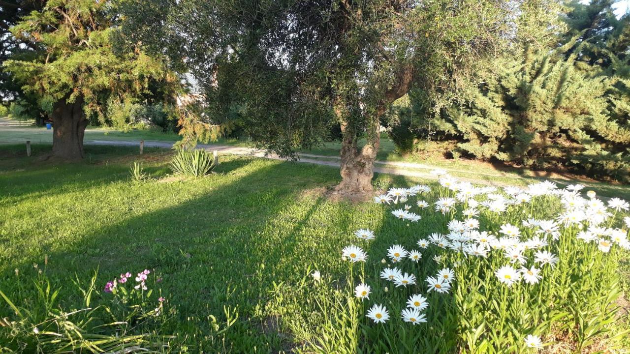 Casa De Campo Las Olivas San Rafael Dış mekan fotoğraf